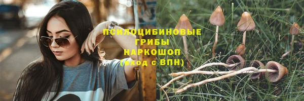 ALPHA PVP Михайловск