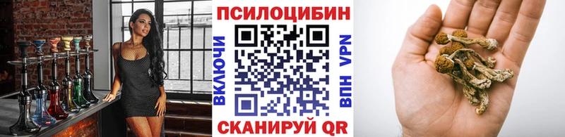 Псилоцибиновые грибы GOLDEN TEACHER Бабушкин