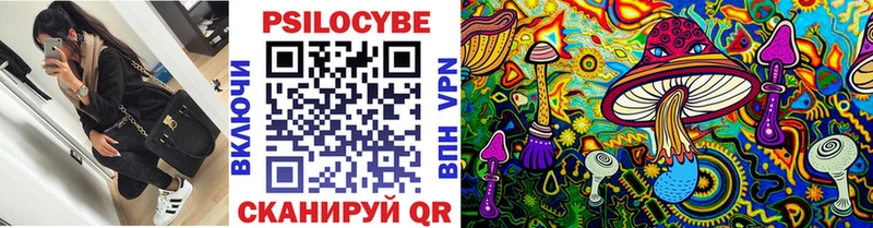 OMG онион  Бабушкин  Галлюциногенные грибы Psilocybe 