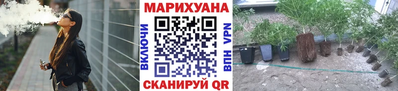 Шишки марихуана индика  Бабушкин 